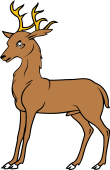 Roebuck Statant