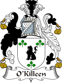 Irish Coat of Arms for O