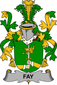 Irish Coat of Arms for Fay or O