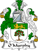 Irish Coat of Arms for O