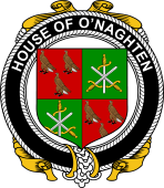 Irish Coat of Arms Badge for the O