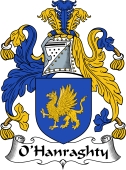 Irish Coat of Arms for O