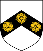 English Family Shield for Wadham