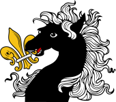 Horse Head-Fleur de Lis