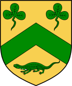 Irish Family Shield for O