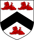 Irish Family Shield for O