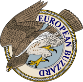 Common Buzzard (of Europe)-M