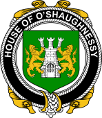 Irish Coat of Arms Badge for the O