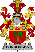 Irish Coat of Arms for Burroughs