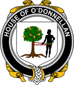 Irish Coat of Arms Badge for the O