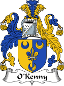 Irish Coat of Arms for O