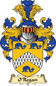 Irish Family Coat of Arms (v.23) for O