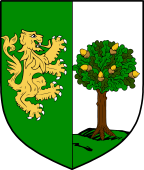 Irish Family Shield for O