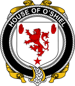 Irish Coat of Arms Badge for the O