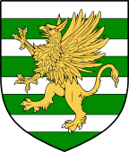 Irish Family Shield for O