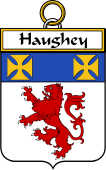 Irish Badge for Haughey or O