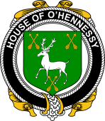 Irish Coat of Arms Badge for the O