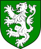 Irish Family Shield for MacGlinchy or Clinchy