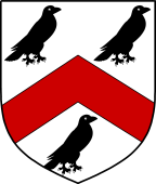 Irish Family Shield for O