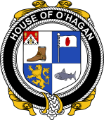 Irish Coat of Arms Badge for the O