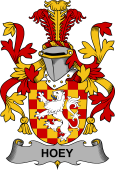 Irish Coat of Arms for Hoey or O