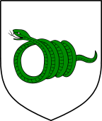 Irish Family Shield for O