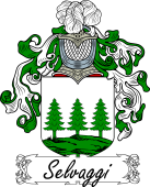 Araldica Italiana Coat of arms used by the Italian family Selvaggi