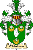 Irish Family Coat of Arms (v.23) for O