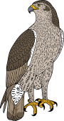 Birds of Prey Clipart image: Bonelli