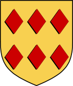 Irish Family Shield for O