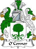 Irish Coat of Arms for O