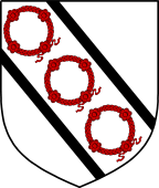 English Family Shield for Sexton