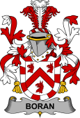 Irish Coat of Arms for Boran or O