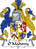 Irish Coat of Arms for O