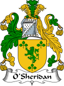 Irish Coat of Arms for O