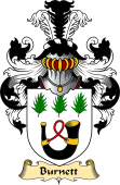 Scottish Family Coat of Arms (v.23) for Burnett