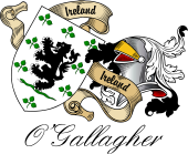 Sept (Clan) Coat of Arms from Ireland for O