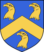 Irish Family Shield for O