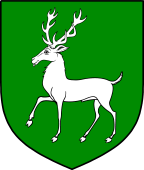 Irish Family Shield for O