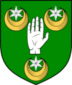 Irish Family Shield for O