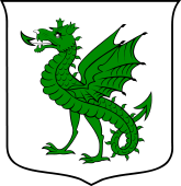 Italian Family Shield for Drago