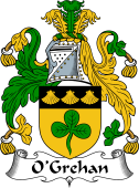 Irish Coat of Arms for O