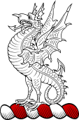 Family crest from Ireland for Drake