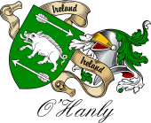 Sept (Clan) Coat of Arms from Ireland for O