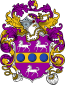 English or Welsh Coat of Arms for Rushe