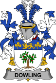 Irish Coat of Arms for Dowling or O