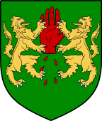 Irish Family Shield for O