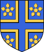 Irish Family Shield for Acotes