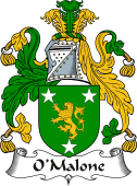 Irish Coat of Arms for O