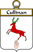 Irish Badge for Cullinan or O